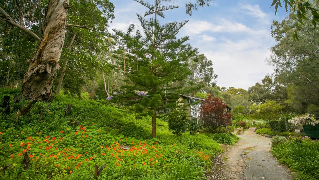 Centurion Real Estate - 25 Cook Street - Darlington