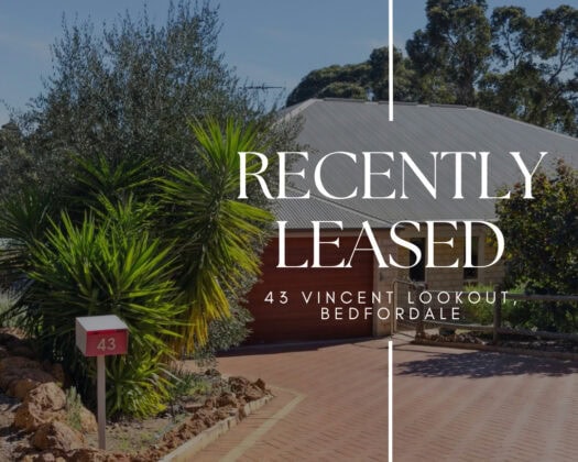 43 Vincent Lookout